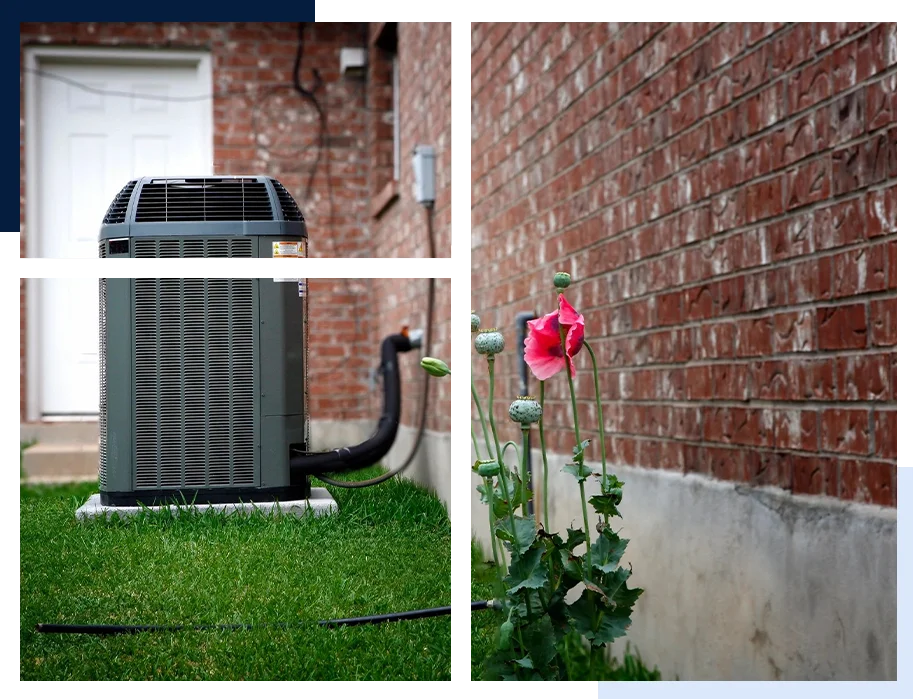 A red flower in front of an air conditioner.